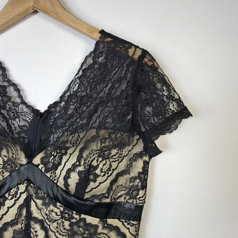 White House Black Market Lace Fit Flare Cocktail Dress mini 10 party wedding - Picture 3 of 12